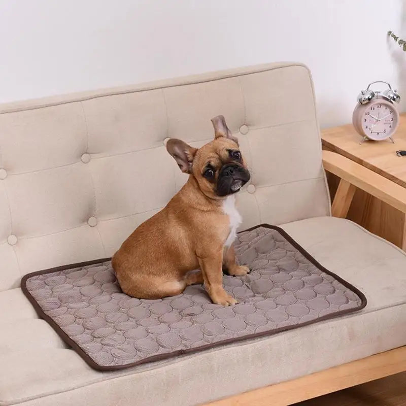 Tapis Rafraîchissant d'Été pour Chien et Chat – Coussin Respirant, Lavable et Confortable pour Canapé, Voiture et Panier