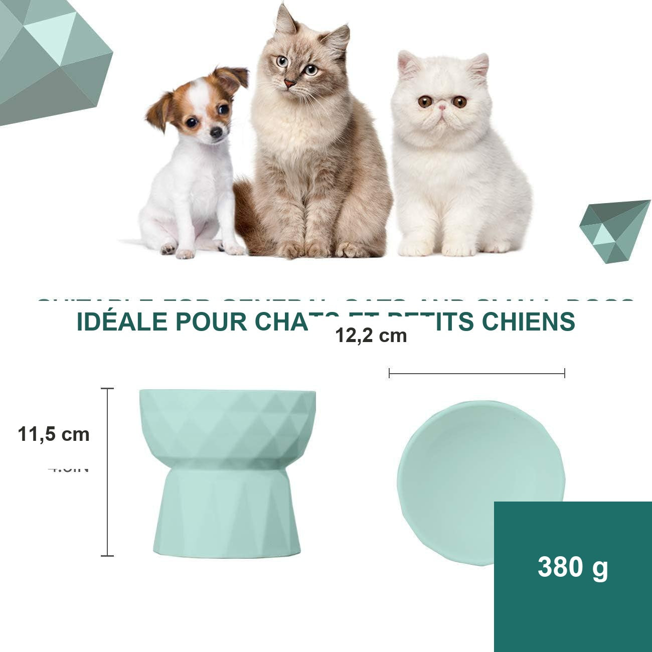 Gamelle surélevée — dimensions et capacité 380g