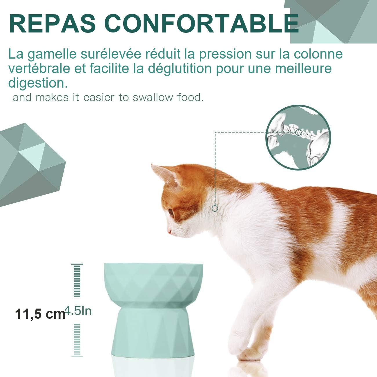 Gamelle surélevée — repas confortable, posture ergonomique