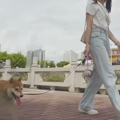 Gourde d'eau portable en acier inoxydable pour chien – Bol intégré pour des promenades et voyages
